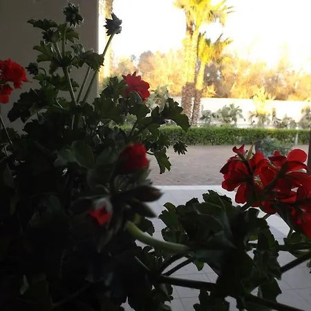 Bed & Breakfast Del Salento Exclusive